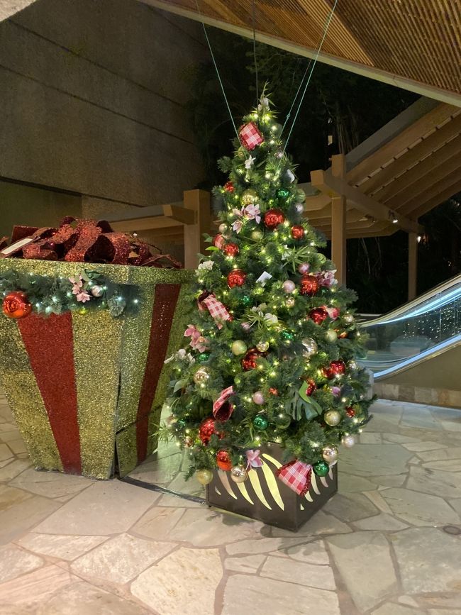 ロイヤルハワイアンショッピングセンターの中にあるツリーです。2年前に比べるとツリーが小さくなった気がします。