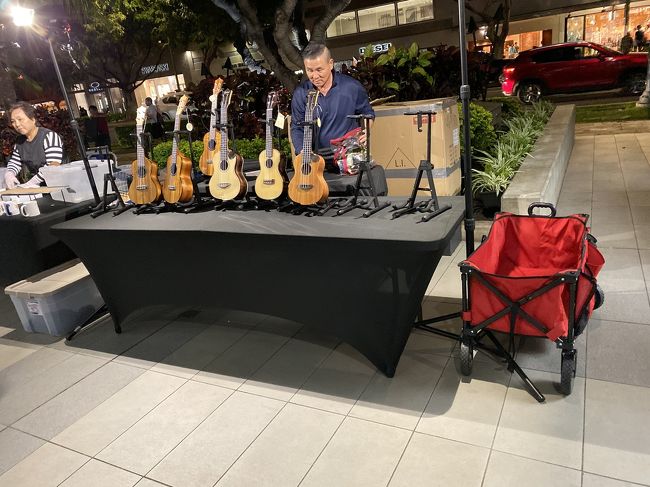 食事が終わってブラッとしたらナイトマーケットがありました。<br />ウクレレを販売しています。