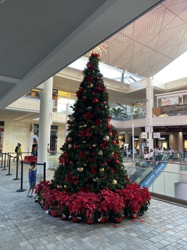 人が少なかったのでアラモアナでツリーを撮ってみました。