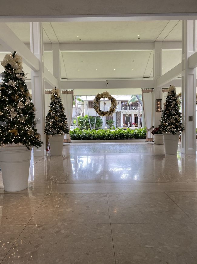 エントランスから見るとこんな感じです。<br />毎年変わらない。<br />ここはLEDになっていませんでした。