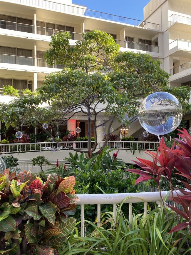 この日は日本のパーティーがあったらしく飾りが沢山つけられていました。<br />そして出入り口まで塞がれて、宿泊者は大迷惑、ブーイングでした。