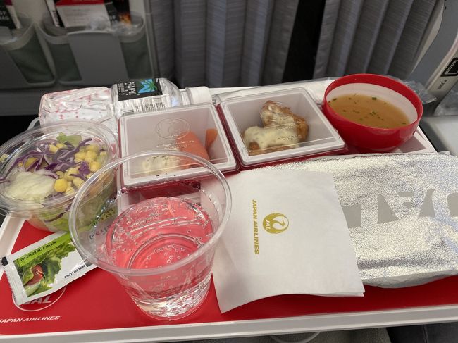 機内食はやはり美味しくなく、ほどんど残しました。<br /> CAさんがお口に合いませんでしたか？と聞かれたけど、はいその通りですと言えず。言うべきだったかな。