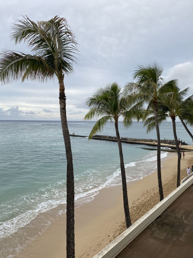 6日目<br />帰国です。<br />チェックアウトまでラウンジでオレンジジュースを飲んでワイキキビーチを見納め。<br />次は5月だよ。