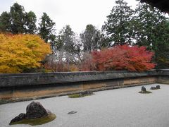 方丈庭園。

石庭と、土塀の向こう側に赤と?の紅葉。