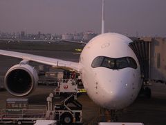 旅の始まりは朝の羽田空港から。
乗る飛行機は、羽田ー福岡線に投入されて間もない話題の飛行機、エアバスA350型機！
黒色でカーブを描くコックピット周りが印象的。