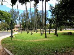 バス停を降り、カピオラニ公園横を歩いて目的地へ。