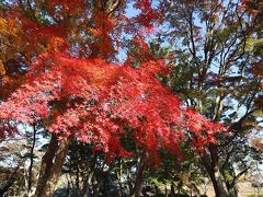 松坂城跡