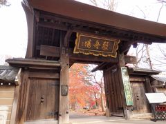 行ってみたいなと思っていた九品仏浄真寺。

少しでも見られれば良いかなと紅葉の見納めにやってきました。

境内へはいると、、