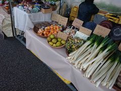 2日目は高知の日曜市から始まります。

地元の野菜や果物が売っています。
安くて買いたくなるけどもう一泊するから断念