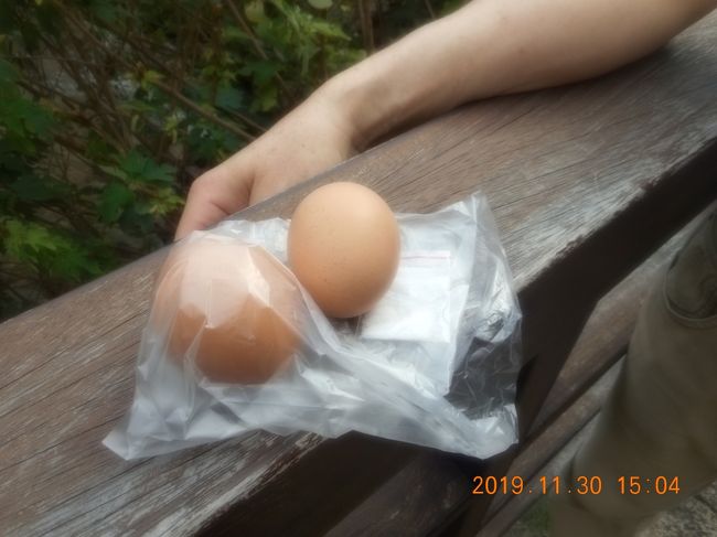 門のそばで温泉卵を買いました　固ゆでで塩も付けてくれます<br />1個１５元<br />