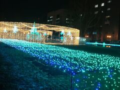 大通り公園へ。現在ホワイトイリュミネーション開催中。綺麗です(^^)
