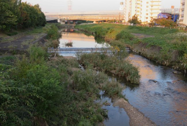 『植原小橋』の上から眺めた、天白川の上流方面の光景です。一番奥に見えているのが、国道302号線が通る橋です。『天白川大橋』と呼ばれているようです。類似の名前の橋に、『天白大橋』、『天白橋』『天白川橋』などがあります。