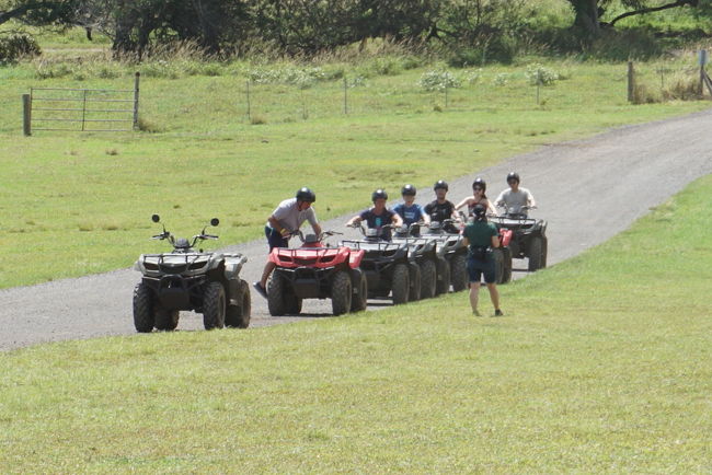 バギー体験もできます
