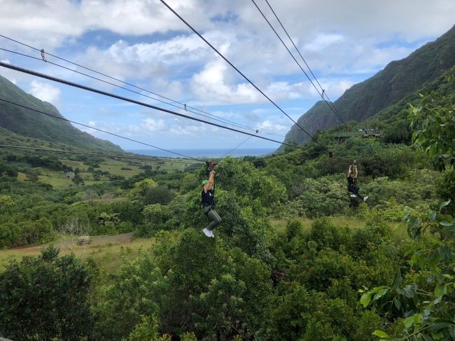 山と山を渡りました