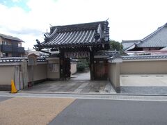 地蔵院椿寺
どうやら地蔵院は、椿が有名なお寺です。

椿の咲く季節には参拝者がいるのだろうか？

豊臣秀吉から寄進された「五色八重散椿」はすでになく２代目さんならあるらしい。