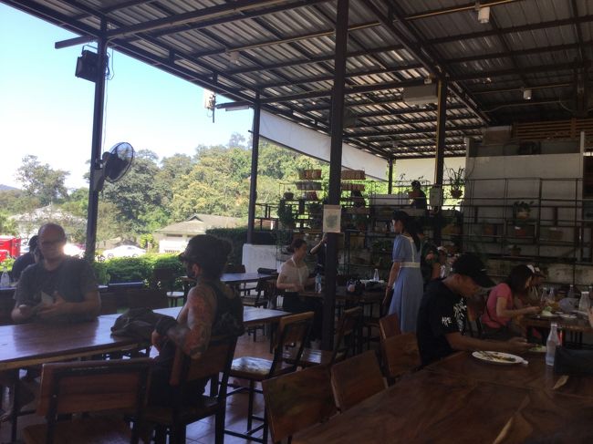 最初の駐車場から5分位走ると、植物園の一番上の駐車場。<br /><br />お昼を食べて、下の植物園へ。山沿いにあるので、坂を降りながらの「ちんたらちんたら」観光となります。<br />植物園の下の噴水まで行って、戻って来ます。（噴水の傍にも駐車場ありました）<br />時期的かどうか解りませんが、鮮やかな色の花は、少なかったですが、いろいろ趣向を凝らした、ガラス張りのハウス？の建物もありました。<br /><br />戻る途中、ガラス張りのハウス？の入り口に、ベンチがあったので、自撮りしようとしたら、同年代のタイ人?夫婦のご主人の方が「写真撮ってあげようか」的、雰囲気。<br />あなたならどうしますか？　私は、撮ってもらいました。