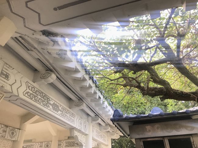 木漏れ日がきれい