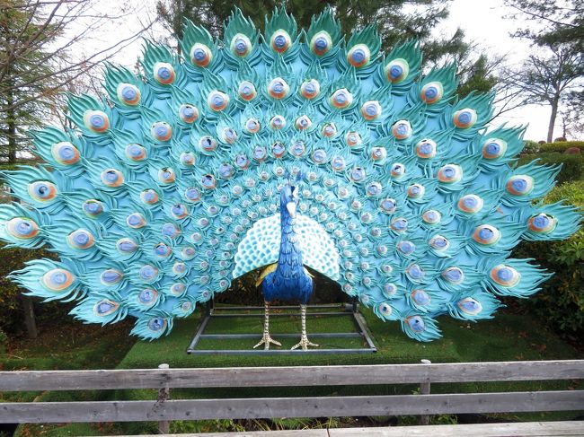 黄葉彩る12月の埼玉こども動物自然公園 前編 珍しいウスイロホソオクモネズミの赤ちゃんかろうじて 園長さんによる今年生まれの動物の赤ちゃん話 東松山 埼玉県 の旅行記 ブログ By まみさん フォートラベル 黄葉彩る12月の埼玉こども動物自然公園 前編 珍しいウスイロホソオクモネズミの赤ちゃんかろうじて 園長さんによる今年生まれの動物の赤ちゃん話 東松山 埼玉県 の旅行記 ブログ By まみさん フォートラベル