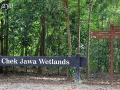 多様な生態系が残る湿地帯が広がっています。