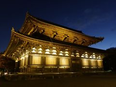 19冬 東寺で紅葉ライトアップ 京都駅周辺 京都 の旅行記 ブログ By Rosaryさん フォートラベル 19冬 東寺で紅葉ライトアップ 京都駅周辺 京都 の旅行記 ブログ By Rosaryさん フォートラベル
