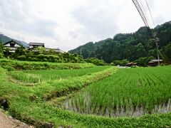 【ブラジルくんだりからとうとう来ちゃった妻籠宿（つまごじゅく）】

さて、妻籠宿の大きな駐車場からトコトコ歩くと、目の前に田園風景が広がります。