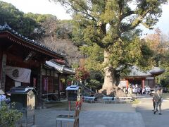 まずは駅から２キロほどの観音寺へ。
ここは６８番・神恵院と６９番・観音寺の２つの霊所が同じ場所にあります。
納経料も２か所ということで３００円×２の６００円かかります。
いい商売ですね。