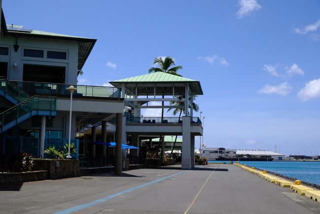 これはターミナルでしょうか。<br />後でわかったのですが、ここは大学の施設もあり、今は大学の関連施設なのかもわかりません。