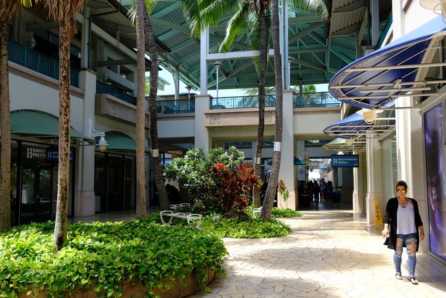 学生がいるので少しは賑やかです。