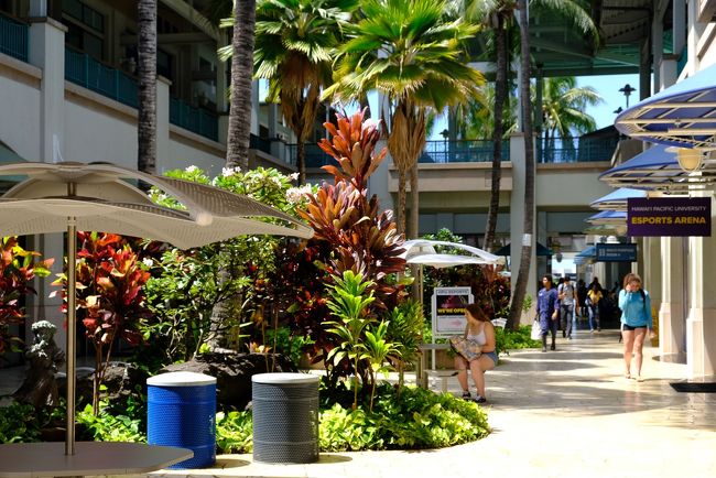 ちょっとしたショッピングモールになっています。