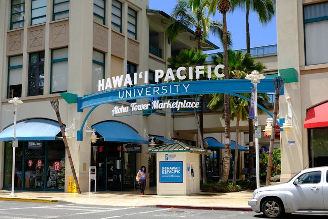 さっき出てきた大学の玄関。