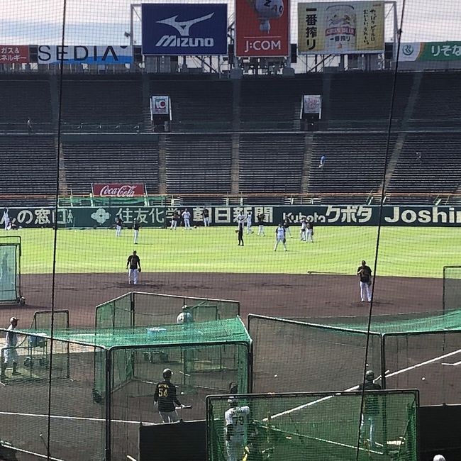 プロ野球2019シーズン回顧 Ver.4』西宮・芦屋(兵庫県)の旅行記・ブログ