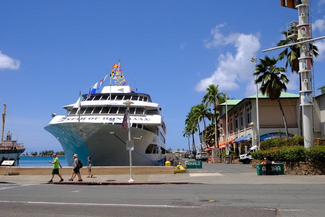 客船らしきものが見えてきました。ここは現役の船着き場のようです。
