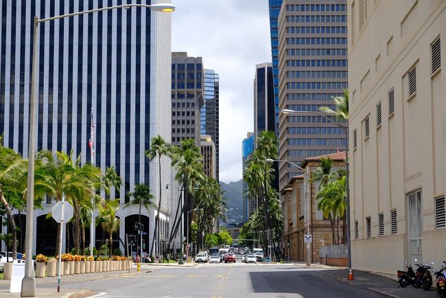 こっちか?<br />この後、バス停を探しアラモアナ通りをテクテク歩くのでした。<br />続く・・・