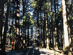 北口本宮冨士浅間神社に向かう途中の杉並木…
なんか長野の戸隠っぽいｗ