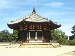 久しぶりの奈良ですが、半日しかないのでベタですが、初心者コースの興福寺、東大寺、春日大社だけ廻ります。
まずは興福寺。
興福寺は藤原鎌足が病気になった際に妻の鏡女王が回復を祈願し釈迦三尊を安置するために造営した山階寺を起源とする古刹。
壬申の乱のときに飛鳥に移建し、平城遷都の時に興福寺となった。
すごい歴史！
北円堂。きれいな八角堂。
７２１年藤原不比等の一周忌の時に創建した。

