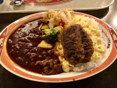 夕食はカレーになりました。
どこも混んでいて並ぶのが嫌でフラフラ…
クリスマス限定メニューのハッシュドビーフです。