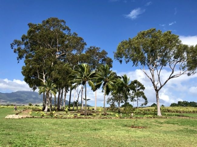 パワーを充電！