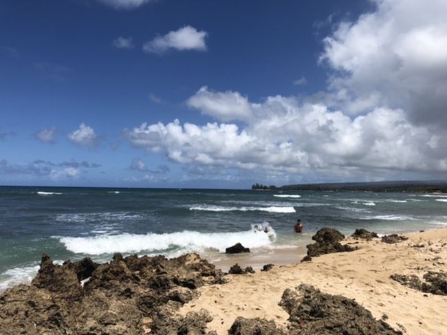 ホヌがいっぱい。感動！