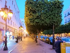 街路樹が並ふ美しい通りでもあるフランス通り。フランス門からハビブ・ブルギバ通りに通じている。ヨーロッパ風の大通りなので、ここがアフリカであることを忘れさせてくれるとおりだ。