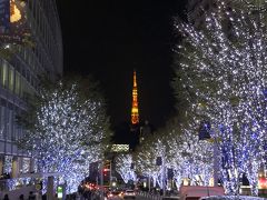 東京・六本木『六本木ヒルズ』のけやき坂イルミネーションの写真。

こちらも毎年一緒なので・・・1枚だけ載せておきます。