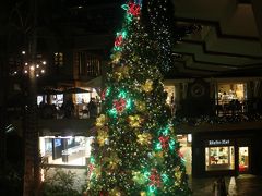 ロイヤルハワイアンセンターのクリスマスツリー。