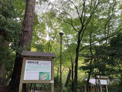 翌朝、散歩がてら宿の近くにある瑞宝寺公園へ。
秀吉が「いくら見ていても飽きない」と誉め称えた紅葉の名所です。
