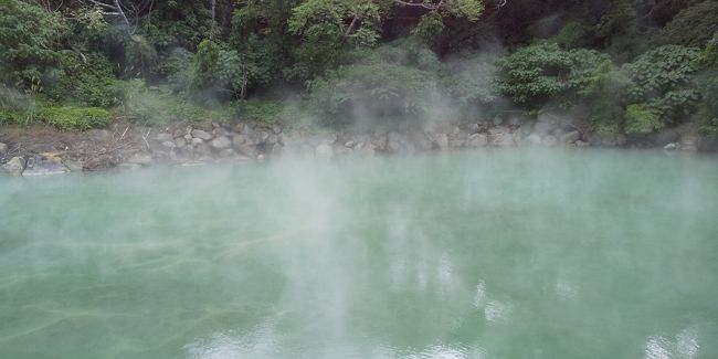 ８０度から１００度近い温泉が湧き出ている源泉池<br />湯気とともに硫化水素臭が立ち込めています