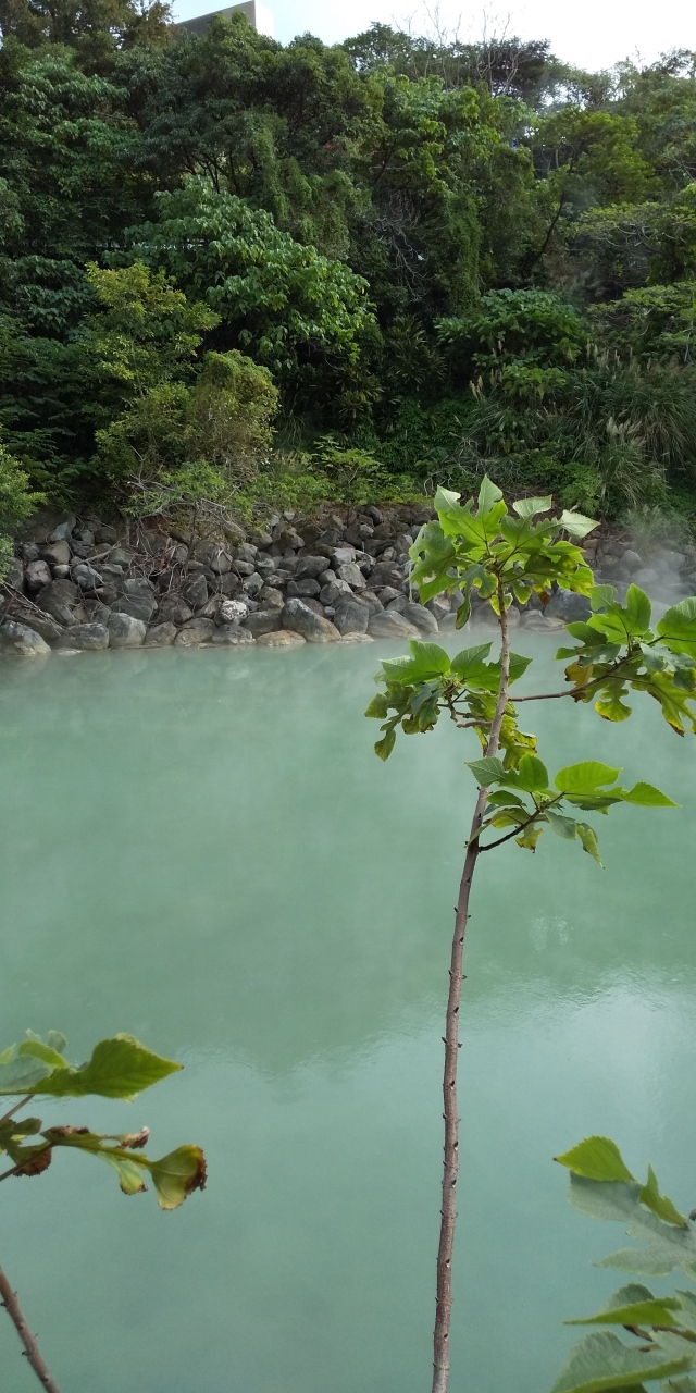 強酸性の温泉は扱いにくいとかでホテルには数件しか引かれていないそうです