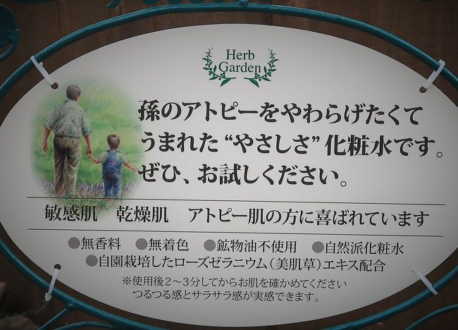 ハーブ庭園 旅日記 富士河口湖庭園 大温室で説明 ステビア ローズゼラニウムなど 富士五湖 山梨県 の旅行記 ブログ By マキタン２さん フォートラベル