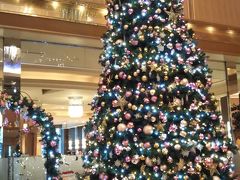 二階まで届くほどの
大きなクリスマスツリー(^〇^)