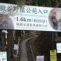 SNOW MONKEY　で有名な地獄谷野猿公苑へ