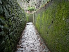 緑の壁が綺麗ですね。しかし、このシュランゲン小道ですが思った以上の長い坂です。