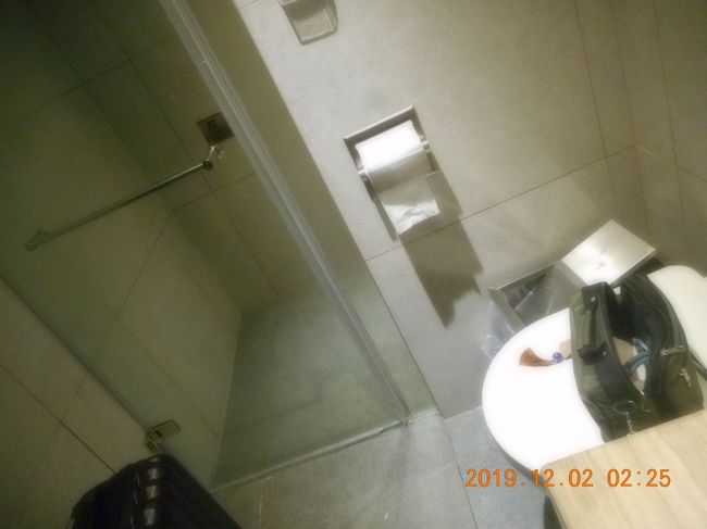 入ると手前にトイレと洗面所があり奥のガラス扉の中がシャワーです<br />一応シャンプーとボディソープ　ドライヤーはあり<br />出たら通路にずらっと並んでましたので早めに行った方がいいです