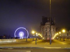 チュイルリー公園の観覧車がキラキラ。

夜9時ごろ、寒かった～。
早歩きでホテルに帰宅。

母と色々話して就寝(ノД`)・゜・。

